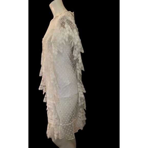 Burberry 2 Sheer White Lace Tulle Dress Polka Dot Scalloped Embroidered NWT - Picture 3 of 8